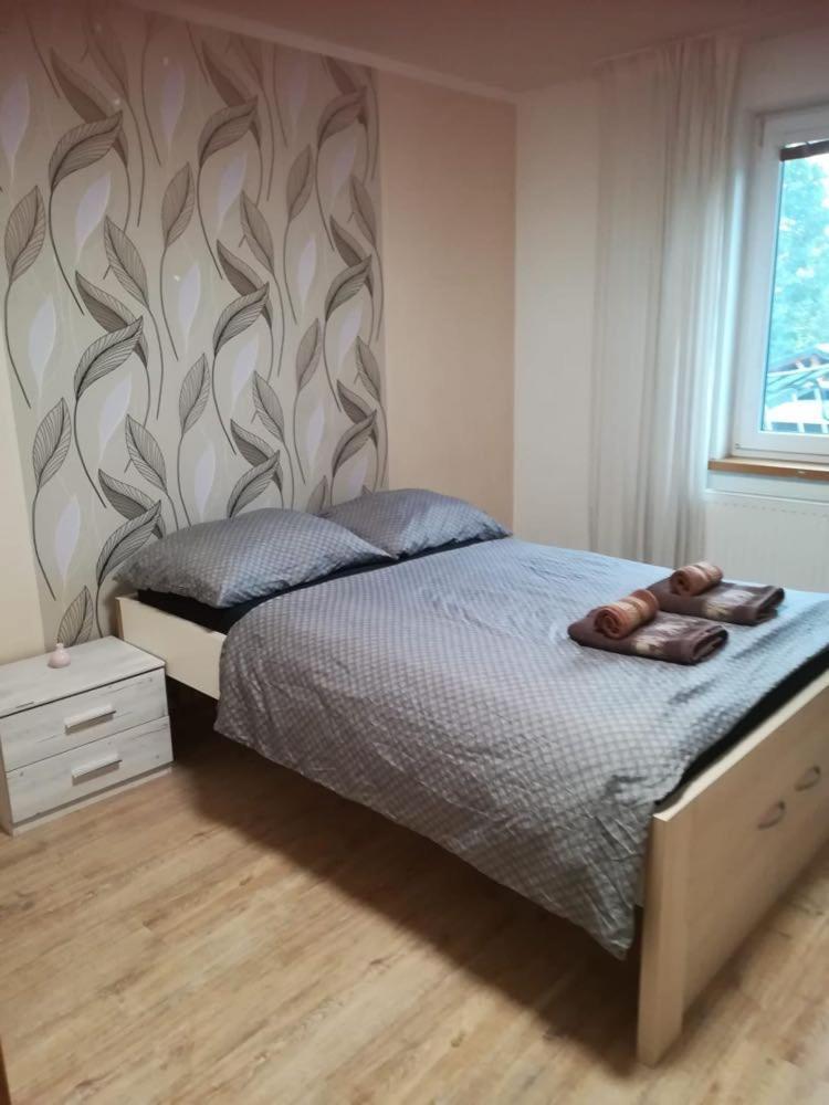 Sausage Dog's Apartment *